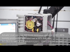 DCL বৈদ্যুতিক অ্যাকচুয়েটর প্রকার পরীক্ষা