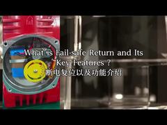 বিস্ফোরণ প্রমাণ বৈদ্যুতিক অ্যাকচুয়েটর IP68 CSA পাওয়ার-অফ রিসেট মোডবাস